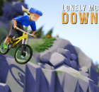 Lonely Mountains Downhill switch